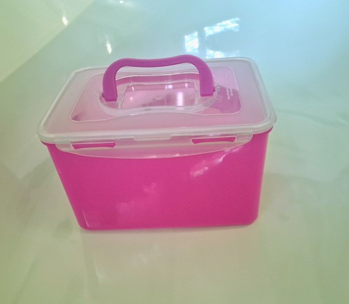 Neu pink lock und - lock,