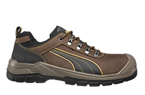 Puma sierra nevada - sierra, hro