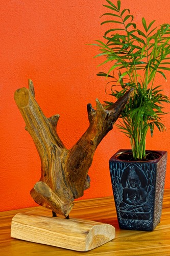 Teak wurzelholz skulptur - wurzelholz,