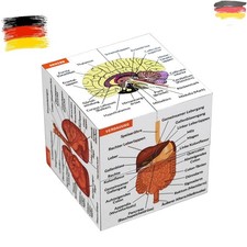 Menschliche Anatomie