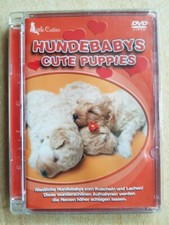 Hundebabys - DVD