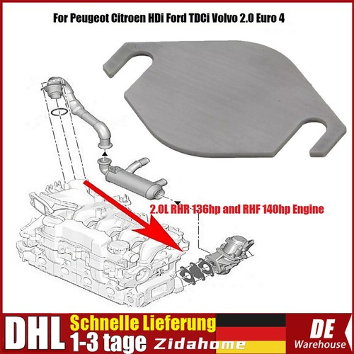Dhl verschlussplatte für ford - verschlussplatte,