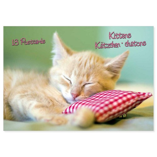 Katze kittens kätzchen kunst - kittens,