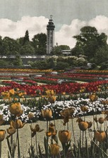 Postkarte :  ESSEN - Grugapark , Dahlienarena mit Aussichtsturm , ca.1963