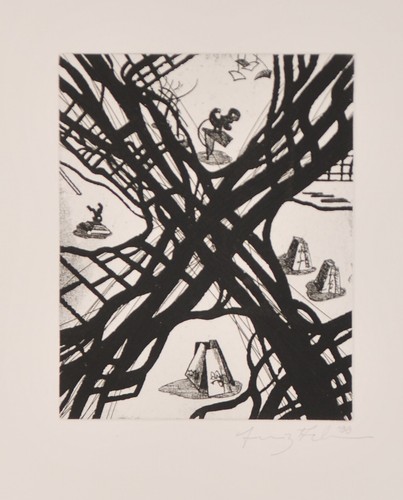 Franz ackermann - franz,