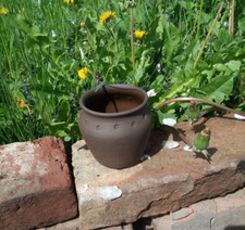 Wikinger  Becher nach Haithabu