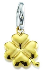 GOOIX CHARM Silber 925