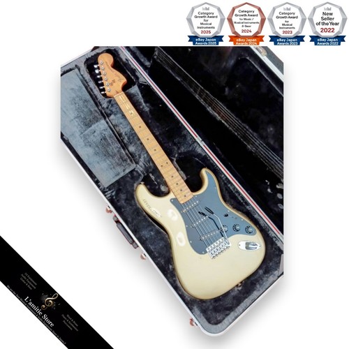 Fender stratocaster - fender,