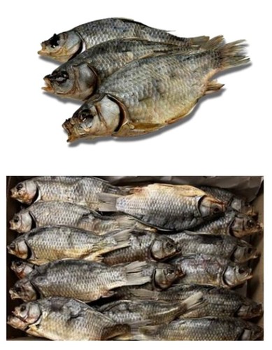 Kg karauschen fisch - 1,