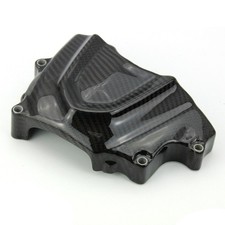 Carbon Ritzelabdeckung für