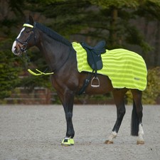 Waldhausen Neon Gelb