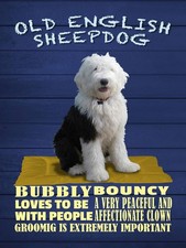 Holzschild 40x30 cm Old