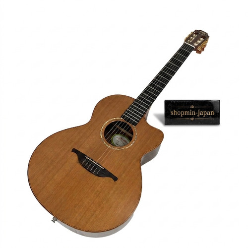 lowden gitarre