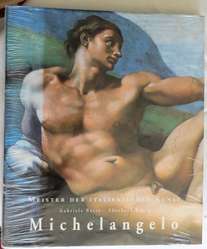 Michelangelo meister der - michelangelo,