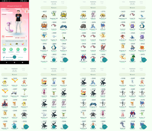 Pokémon acc lvl46 - pokémon,