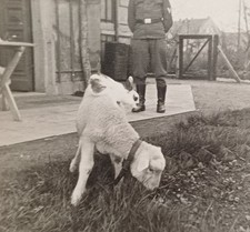 Soldat in Uniform schaut zu