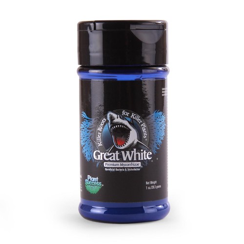 Plant revolution great white - plant,