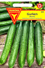 GURKEN Moneta - bitterfreie Salatgurke, Freilandsalatgurke, Gurke - Gemüse Samen
