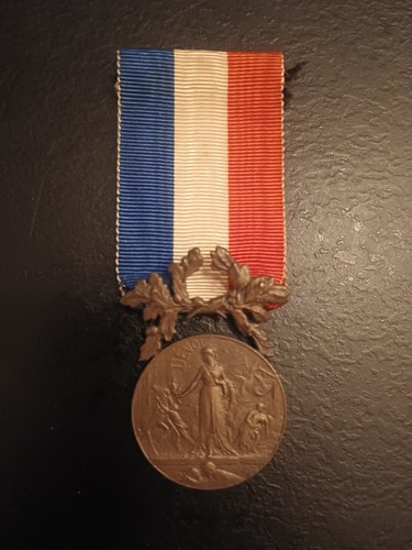 Ehrenmedaille hingabe - ehrenmedaille,