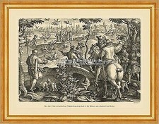 Falkenjagd Beizjagd Jagdfalken