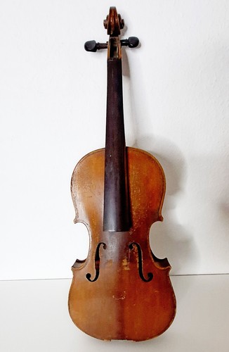 Antonius stradivarius - antonius,