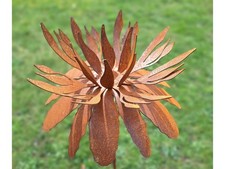 Gartenstecker Metall Blume Gartendeko rostige Dekoration Edelrost Telopea XXL