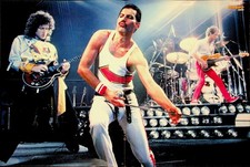 BP1995 Bravo - Poster - Queen