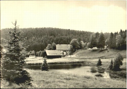 Sayda 1961 - sayda,