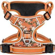 Hundegeschirr Small