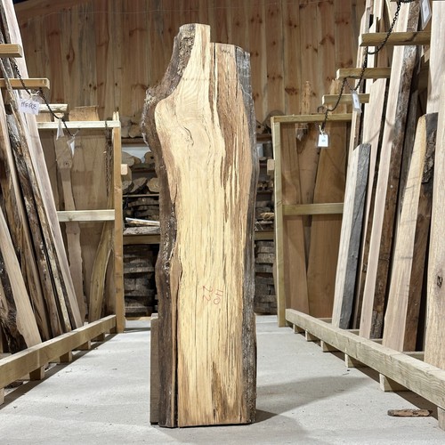 Holm eiche landhausdiele brett - landhausdiele,