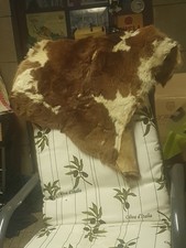 Tierfälle Orginal Tierwelt