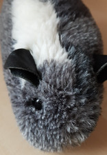 Großes Meerschweinchen aus