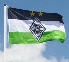 HISSFAHNE FAHNE "Logo"  VFL