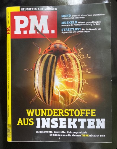 Magazin schatzkammer - magazin,