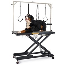 Profi elektrischer - profi,