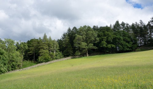 Foto 6x4 heu oder silagefeld - 6x4,
