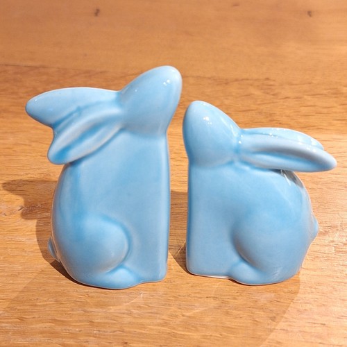 Hasen paar hellblau - hasen,