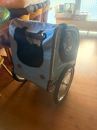 Kinderanhänger