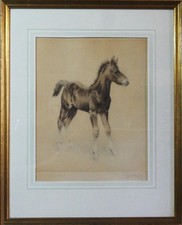 Kurt MEYER-EBERHARDT (1895-1977) TOP-Radierung:  „ JUNGES FOHLEN “