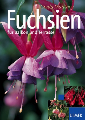 Fuchsien gerda manthey - fuchsien,