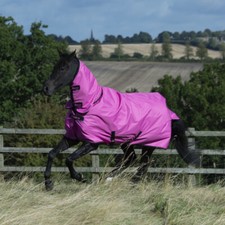 Bucas Freedom Turnout Light