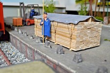 Holzstapel mit Plane Spur 1 -