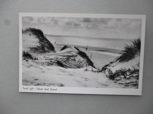 Ansichtskarte insel sylt - insel,
