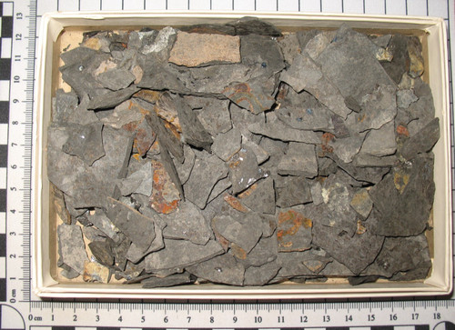 Perm fisch fossil - fossil, muse