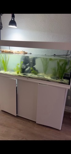 Aquarium komplettset mit - komplettset,