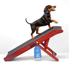 Hunderampe Hundetreppe