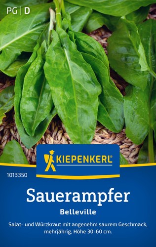 Sauerampfer belleville mhd - sauerampfer, *