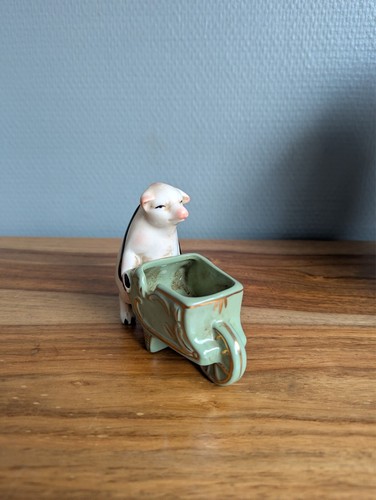 Schönes schwein mit - schwein,