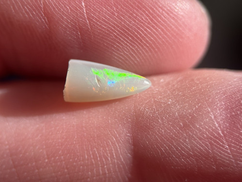 Coober pedy fossiler opal - coober,
