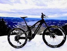 Storck E-MTB e:DRENALIN.2 750